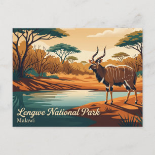 Cartão Postal Observação de Nyala, Parque Nacional Lengwe Malawi