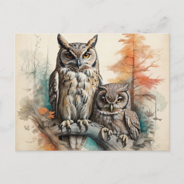 Cartão Postal Observadores Silenciosos da Floresta (Frente)