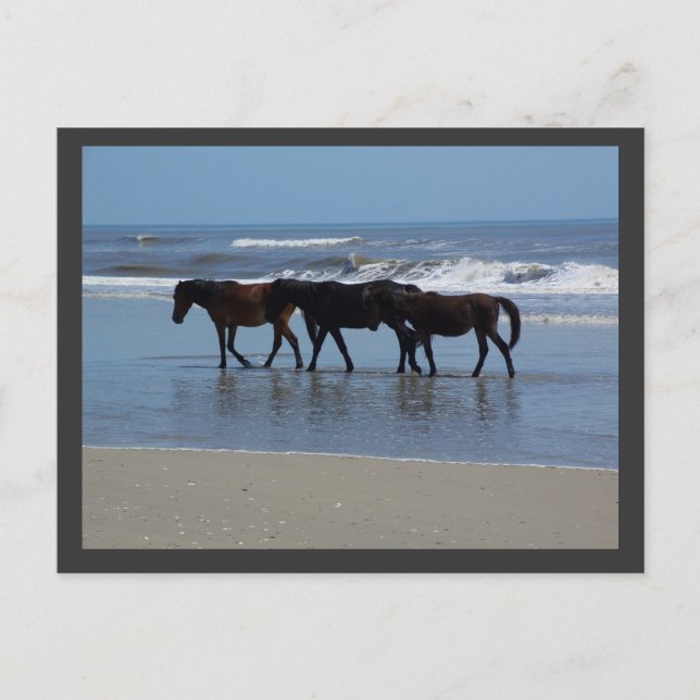 CARTÃO POSTAL OBX (Frente)