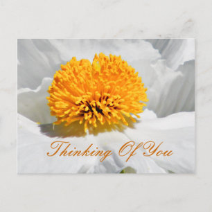 Cartão Postal Ocasiões_