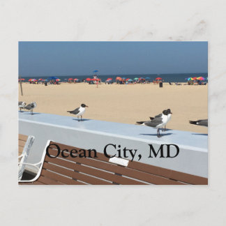 Cartão Postal Ocean City Beach, MD com aves