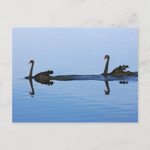 Cartão Postal Oceânia, Nova Zelândia, ilha do Sul, Hokitika -