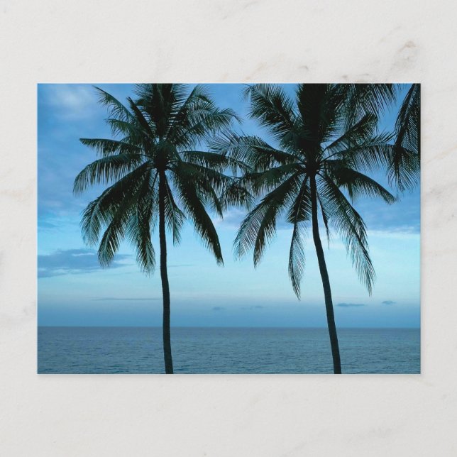 Cartão Postal Oceano Azul Céu Azul (Frente)