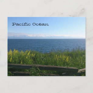 Cartão Postal Oceano Pacífico