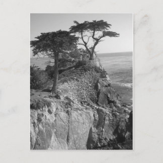 Cartão Postal Oceano Pacífico