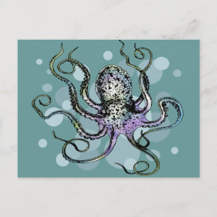 Cartão Postal Octopus