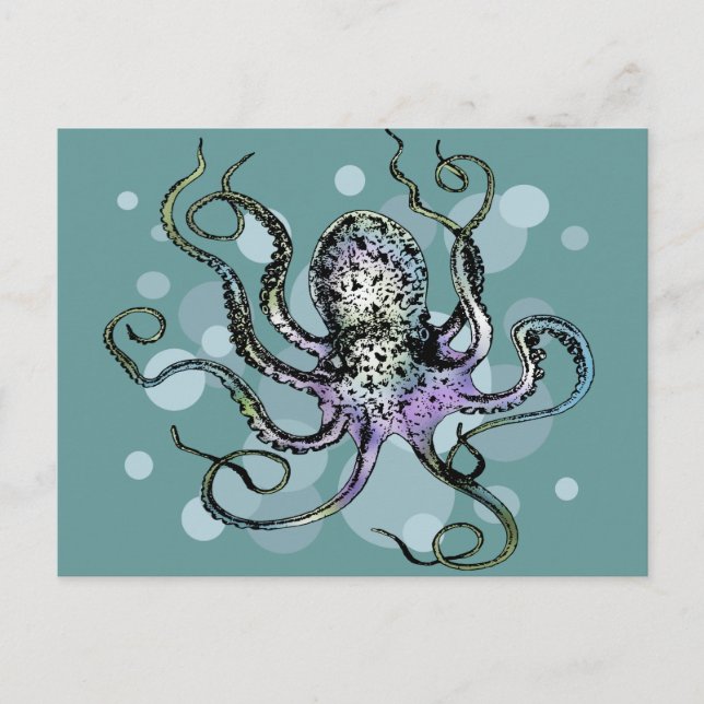 Cartão Postal Octopus (Frente)