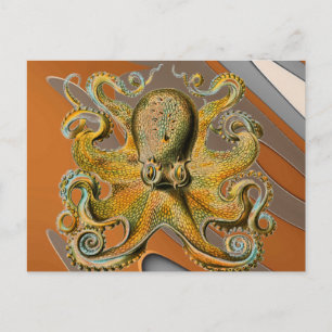 Cartão Postal Octopus