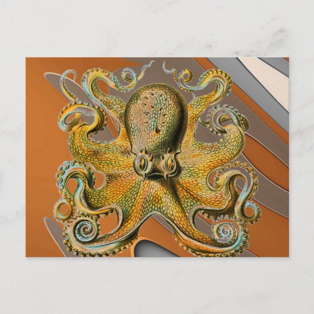 Cartão Postal Octopus (Frente)