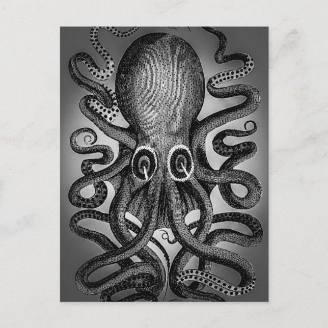 Cartão postal Octopus (Frente)