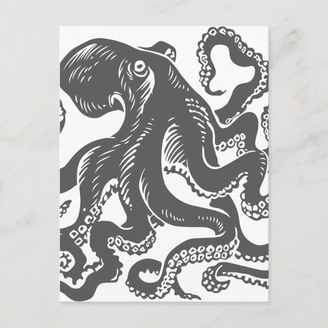 Cartão Postal Octopus 1 preto (Frente)