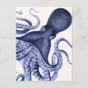 Cartão Postal Octopus Azul Paisagem