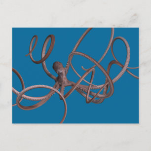 Cartão Postal Octopus gigante