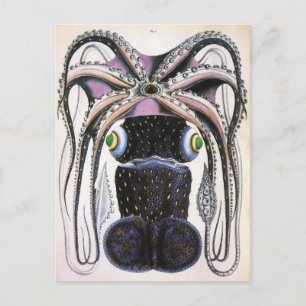 Cartão Postal Octopus gigante da Vintage ou lula, Animal da Mari