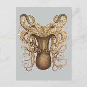 Cartão Postal Octopus Marmoratus (Azul)
