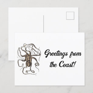 Cartão Postal Octopus Marrom Vintage, esboço de arte natural náu