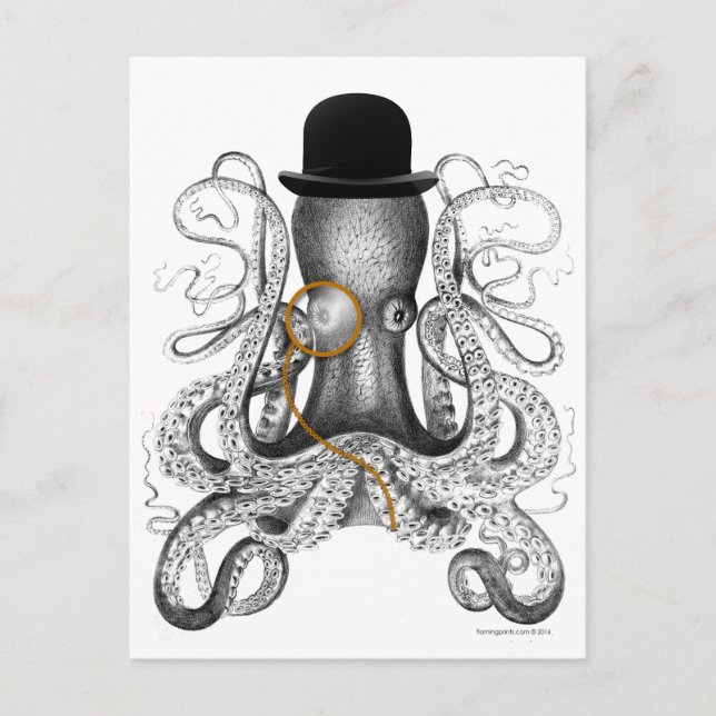 Cartão Postal Octopus Monocle Bowler Hat Curiosity (Frente)