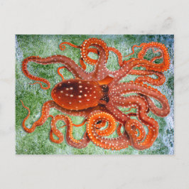 Cartão Postal Octopus Ocean Vintage
