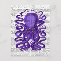 Octopus púrpura