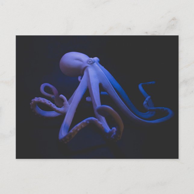 Cartão Postal Octopus púrpura (Frente)
