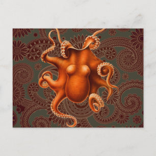 Cartão Postal Octopus Red Cephalopold Vintage Design