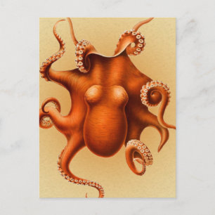 Cartão Postal Octopus vermelho Cephalopod Vintage Kraken Design