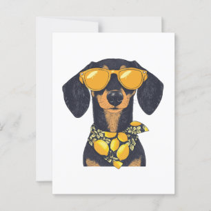 Cartão Postal Óculos de sol legais para cachorro dachshund com l