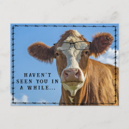 Cartão Postal Óculos de Vaca Engraçados Contos Country Western d