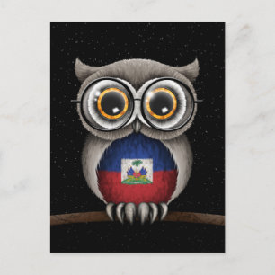 Cartão Postal Óculos de Visto da Coroa de Bandeira do Haiti