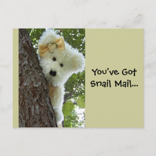 Cartão Postal Ocultar & Busca