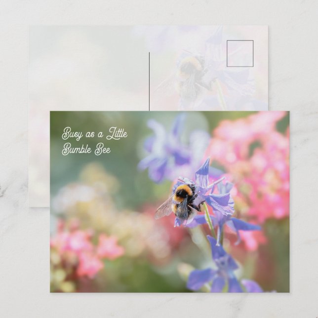Cartão Postal "Ocupada como uma Abelhinha" Flores em Pastel Suav (Frente/Verso)