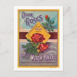 Cartão Postal Odor Rosa Rótulo de Risco de BruxaFrankfort, NY
