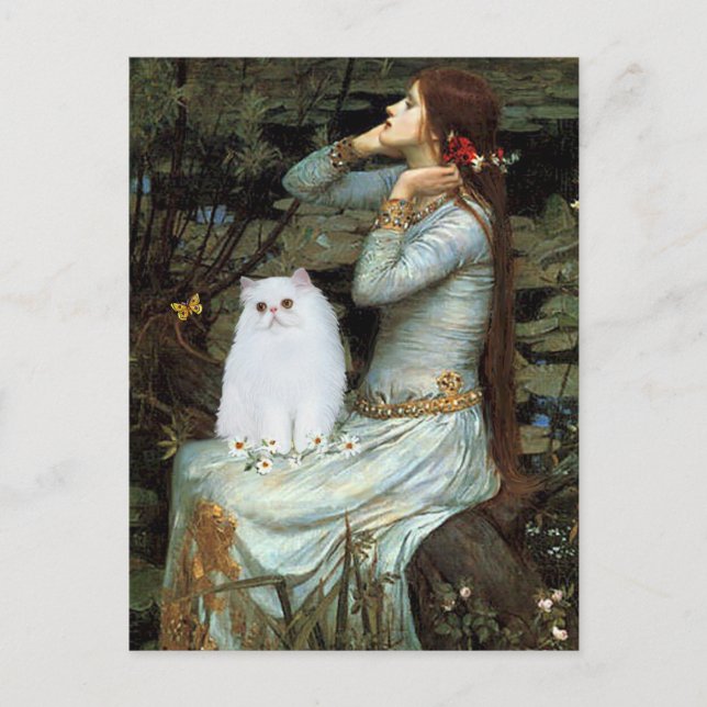 Cartão Postal Ofélia - Gatinho Persa Branco (Frente)