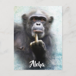 Cartão Postal Ofensiva Ape Engraçada Com O Dedo Médio Aloha En