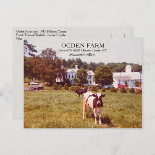 Cartão Postal Ogden Fazenda Town of Wallkill Orange County NY 19