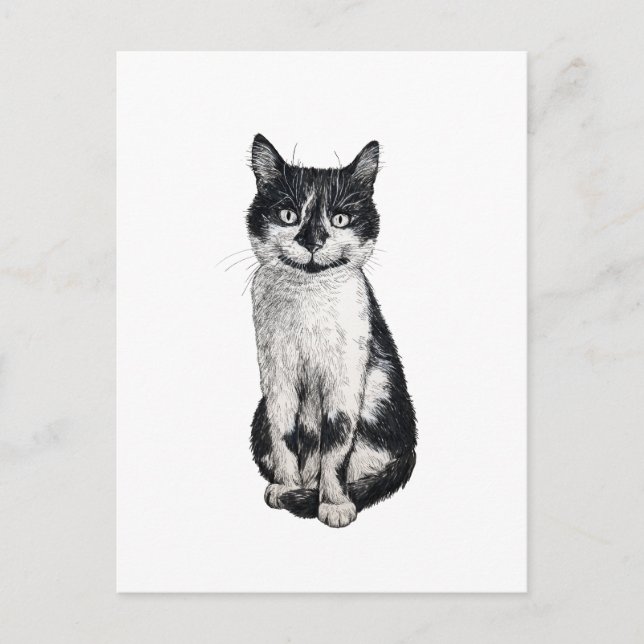 Cartão Postal Ogie o gato (Frente)