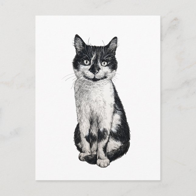 Cartão Postal Ogie, o gato (Frente)