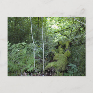 Cartão Postal Oglebay Park, WV