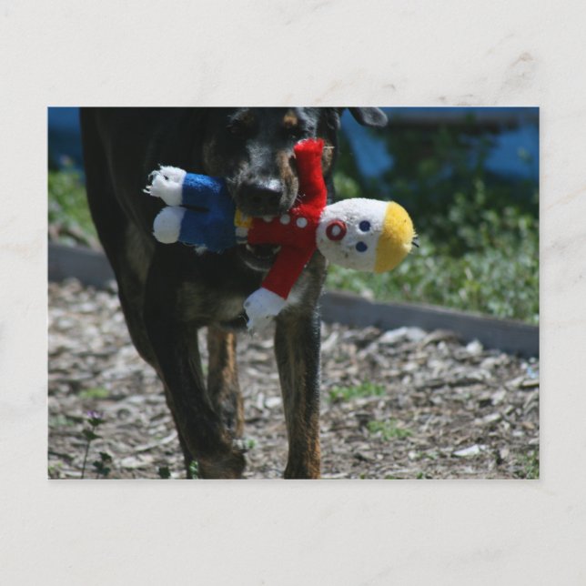 Cartão Postal Oh-Não Sr. Bill (Frente)