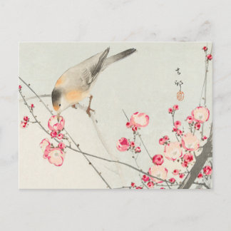 Cartão Postal ohara koson's Japanese painting postcard,小原古邨の日本画