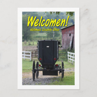 Cartão Postal OHCA101.Amish Buggie - Holmes Co OH.