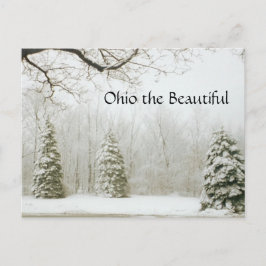 Cartão Postal Ohio, a Bela, 15