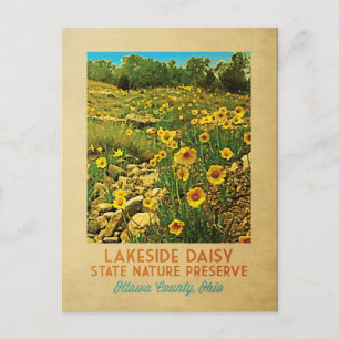 Cartão Postal Ohio Lakeside Daisy Preserve