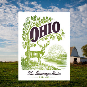Cartão Postal Ohio O Estado do Buckeye Est. 1803 Viagem