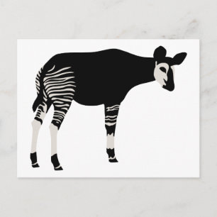 Cartão Postal Okapi