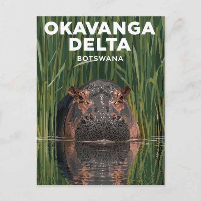 Cartão Postal Okavanga Delta Botswana Hippo Wildlife Travel (Frente)