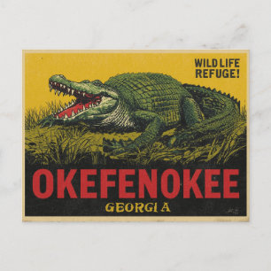 Cartão Postal Okefenokee Swamp Alligator Georgia