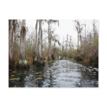 Okefenokee Swamp, Geórgia