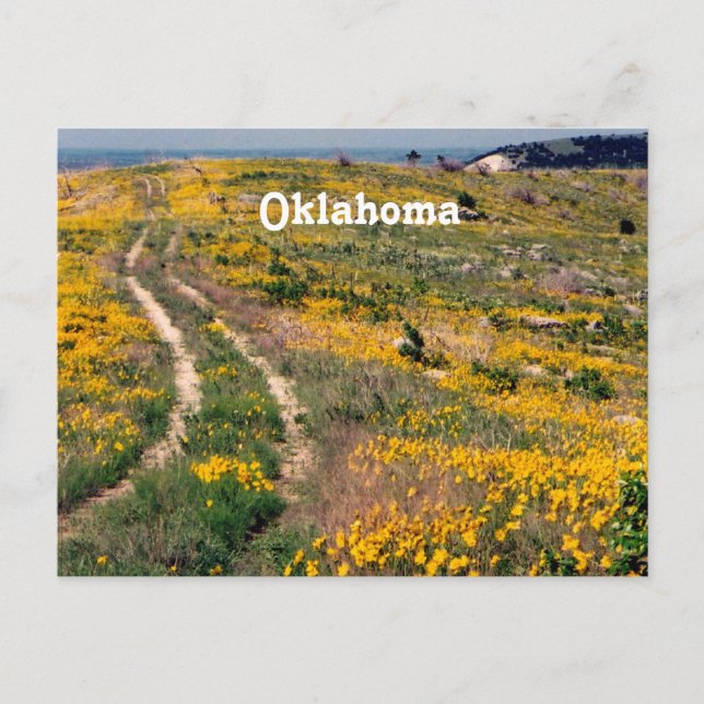 Cartão Postal Oklahoma Prairie (Frente)