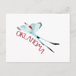 Cartão Postal Oklahoma Scissortail